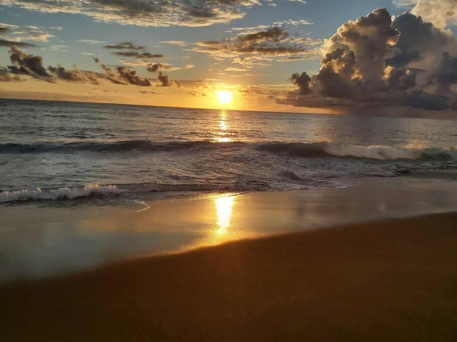Location Meublee - Les Avirons Διαμέρισμα Εξωτερικό φωτογραφία